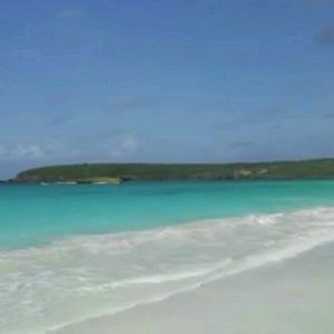 Meet your Posher, Kyria